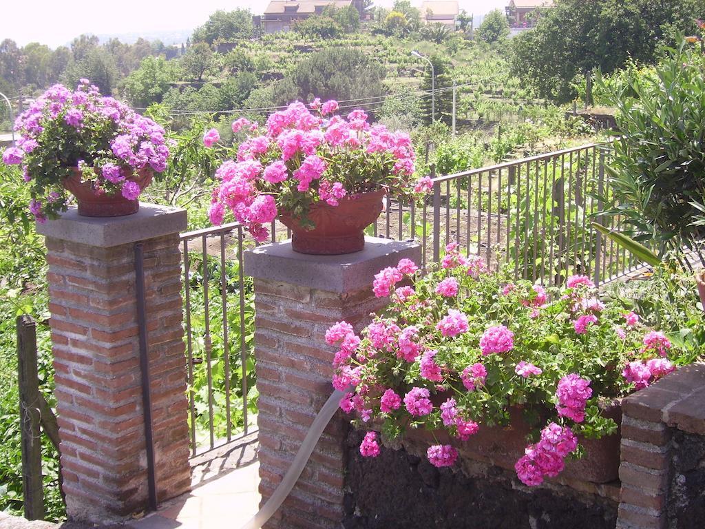 B&B Villa Dagala Santa Venerina Rom bilde